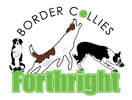 Forthright Border Collies